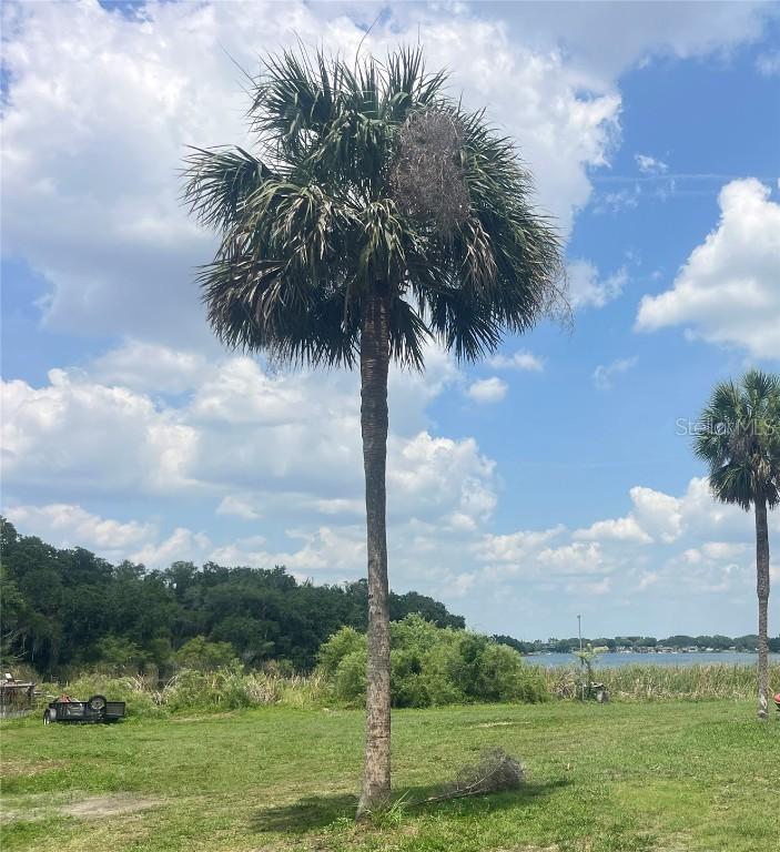 1231 43rd St., Orlando, FL 32839