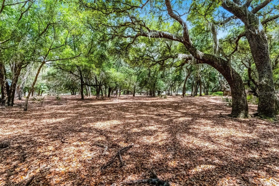 4055 State Road 11, Deland, FL 32724