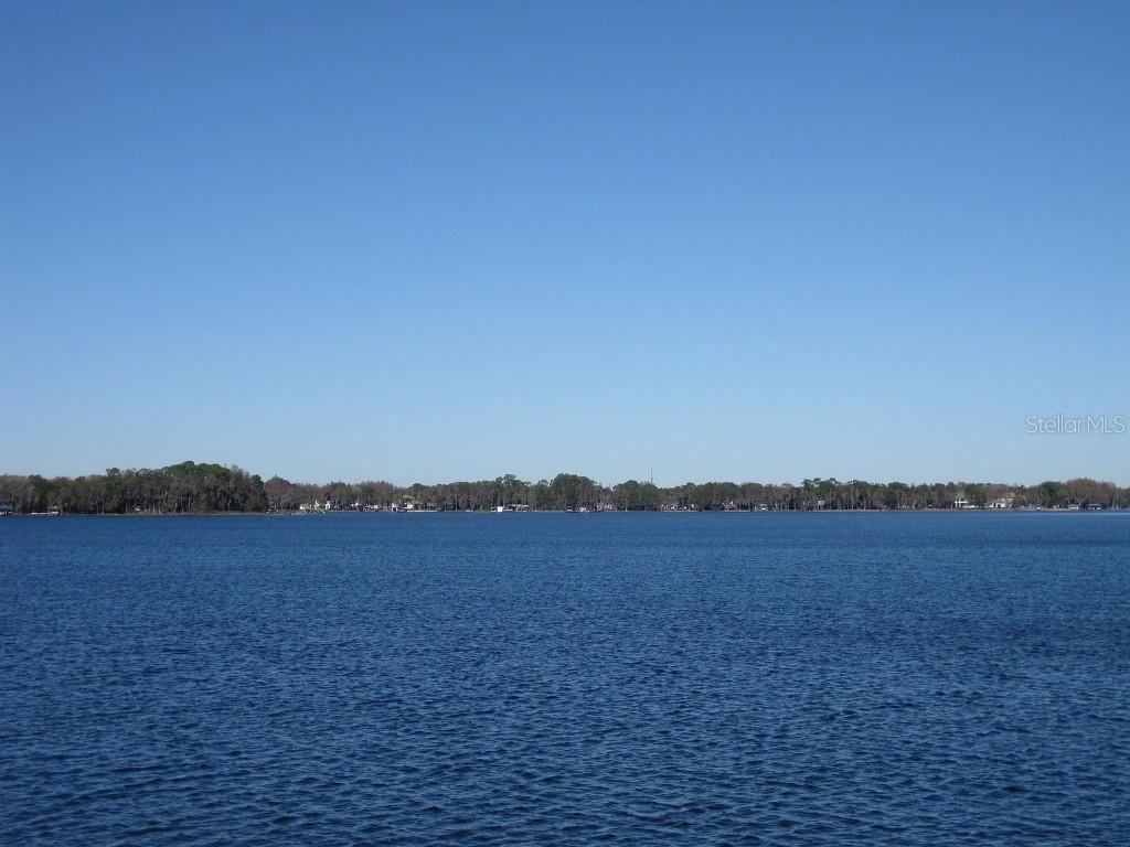 18620 Wayne Rd., Odessa, FL 33556