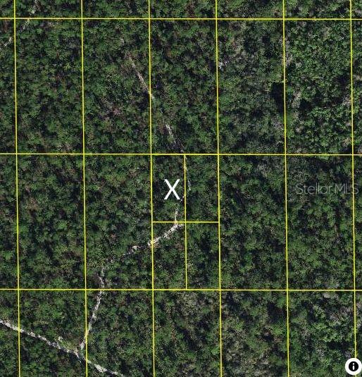 Sr-60, Lake Wales, FL 33898