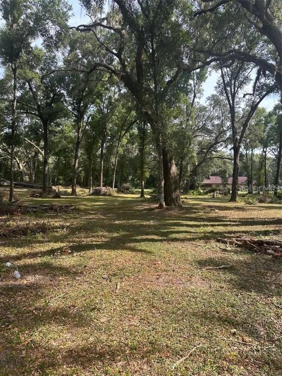 TBD SW 111th Ln., Dunnellon, FL 34432
