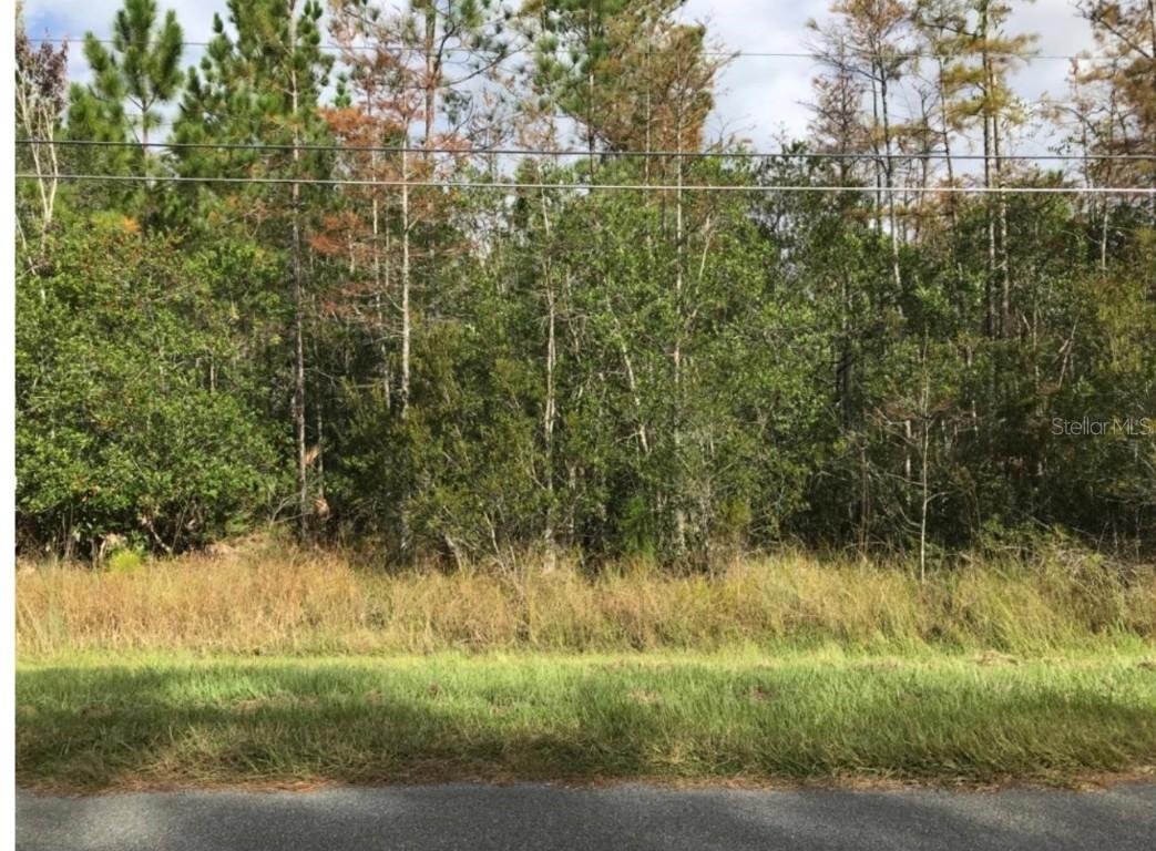 Robertson St., Orlando, FL 32833