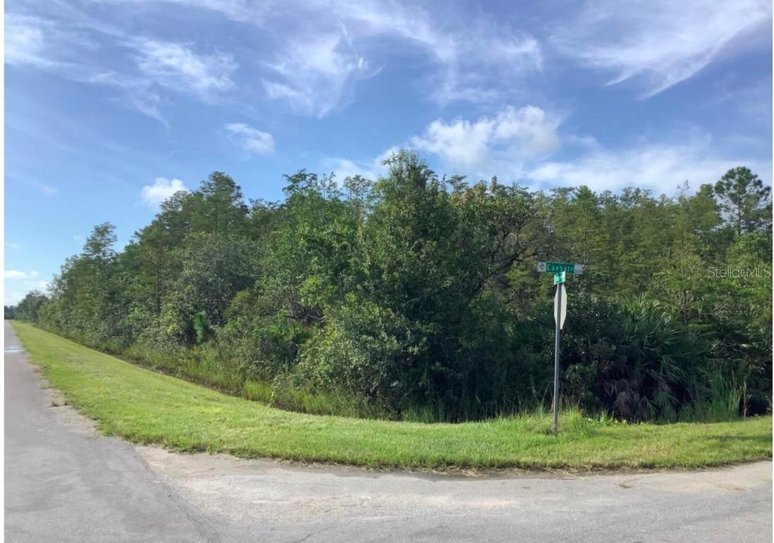 Caesar Ave., Orlando, FL 32833
