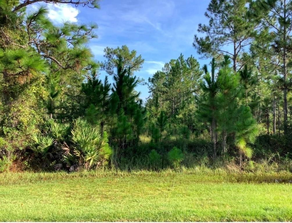 Sabal St., Orlando, FL 32833