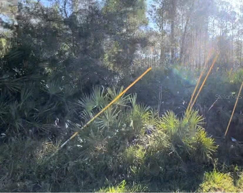 1645 11th Ave., Deland, FL 32724