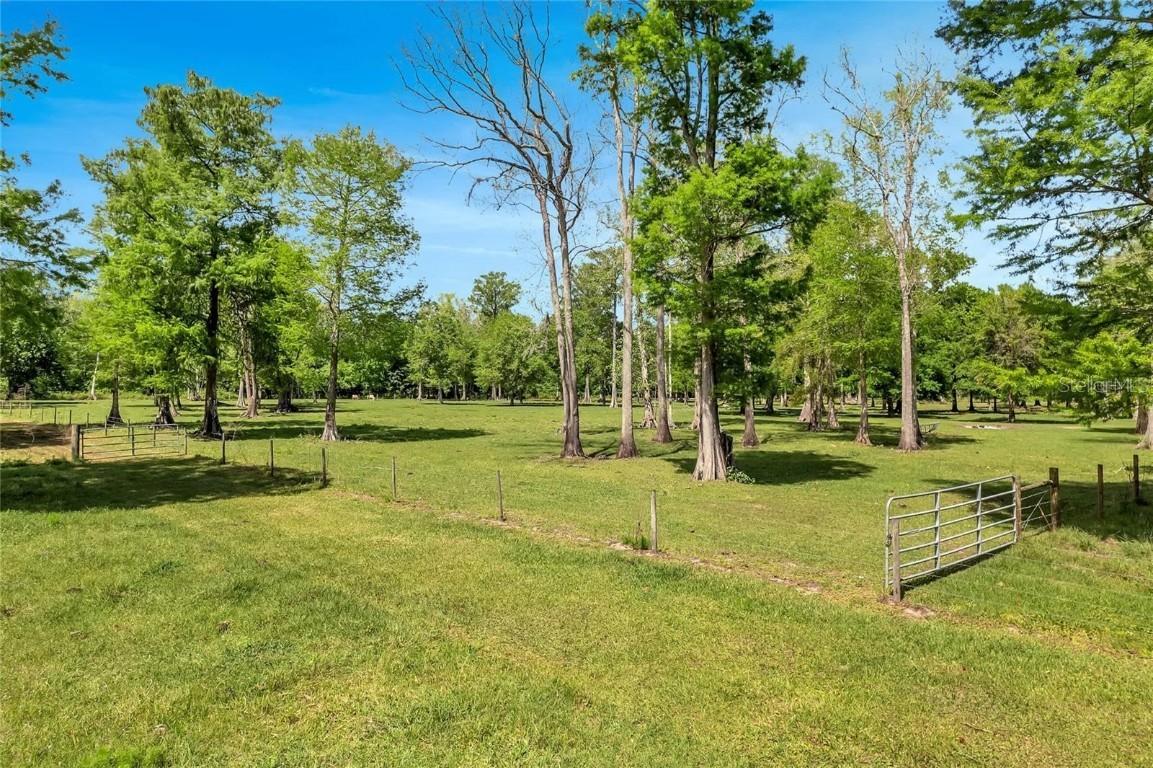 TBD Corkwood Ln., Astatula, FL 34705