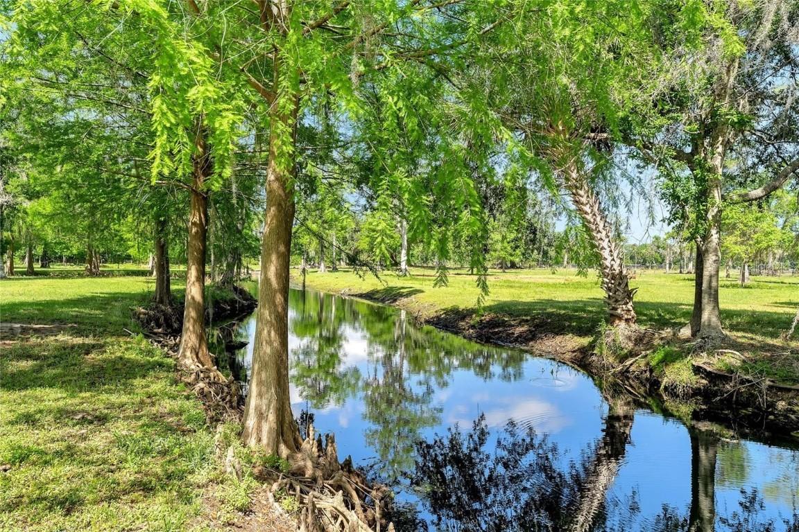 TBD Corkwood Ln., Astatula, FL 34705