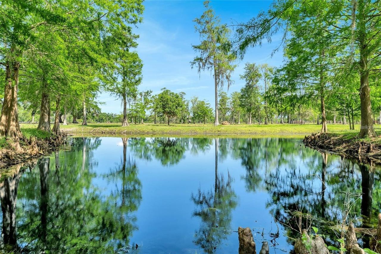 TBD Corkwood Ln., Astatula, FL 34705