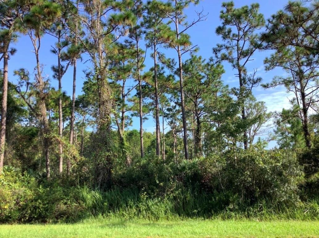 Quinella St., Orlando, FL 32833
