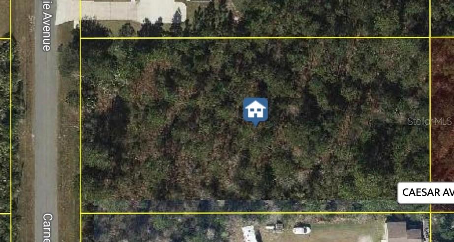 Carnegie Ave., Orlando, FL 32833