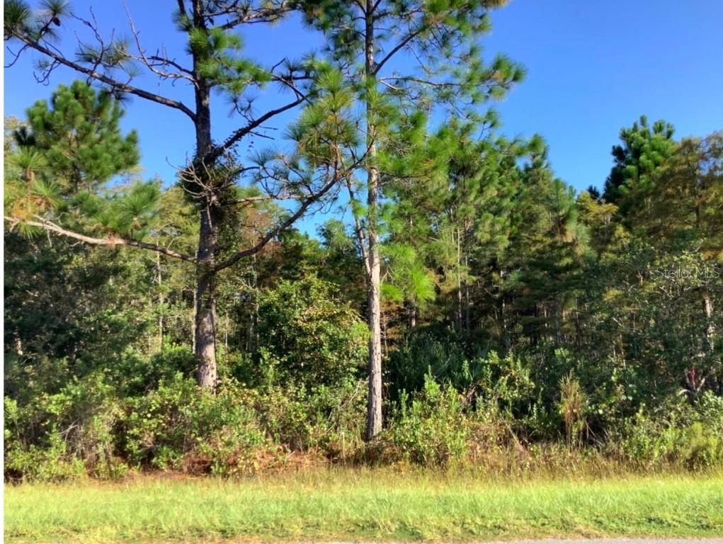 Ralston St., Orlando, FL 32833