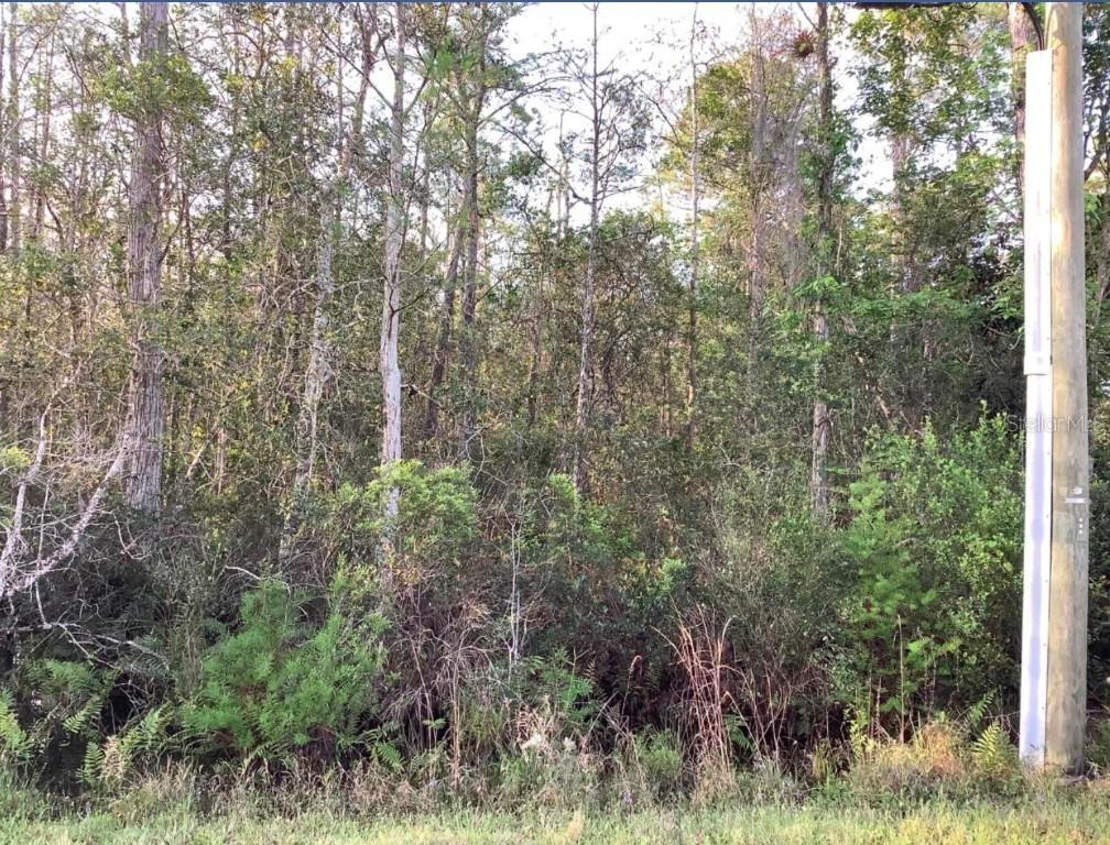 20828 Quinlan St., Orlando, FL 32833