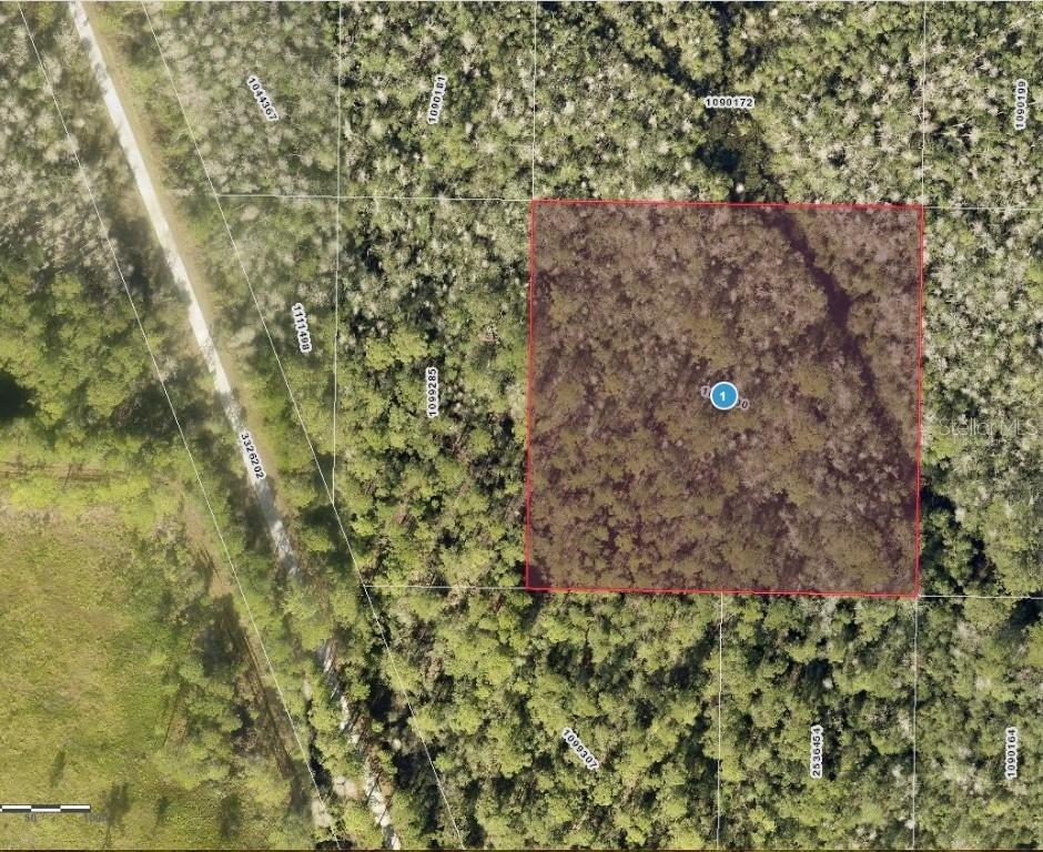 Salyers Rd, Clermont, FL 34711