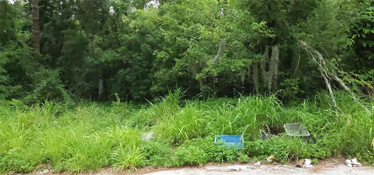 Park Ave., Sanford, FL 32771