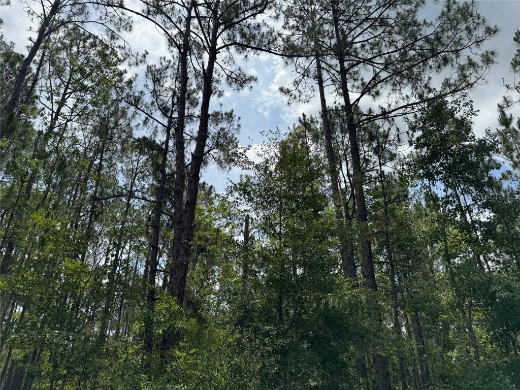 Havana Rd., Clermont, FL 34714