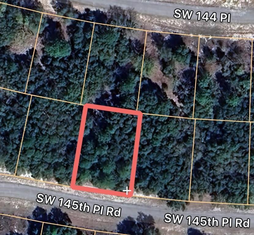 7397 SW 145th Place Rd., Ocala, FL 34473
