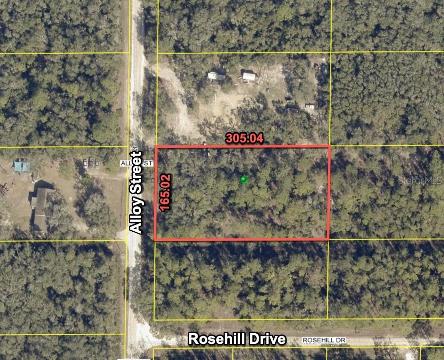 7374 Alloy St., Webster, FL 33597