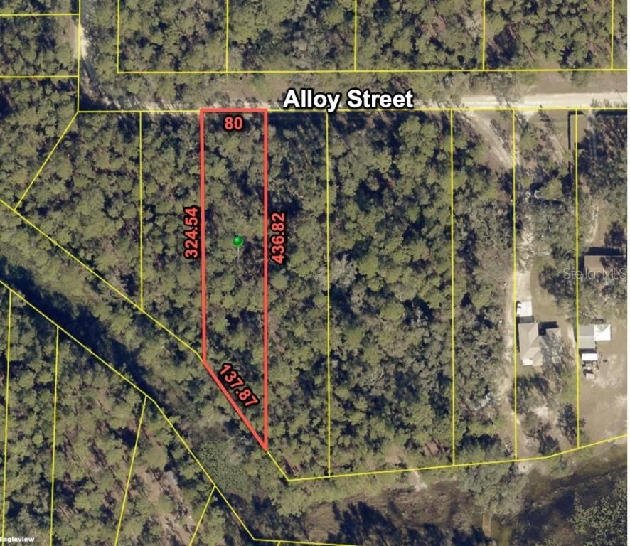 7255 Alloy St., Webster, FL 33597