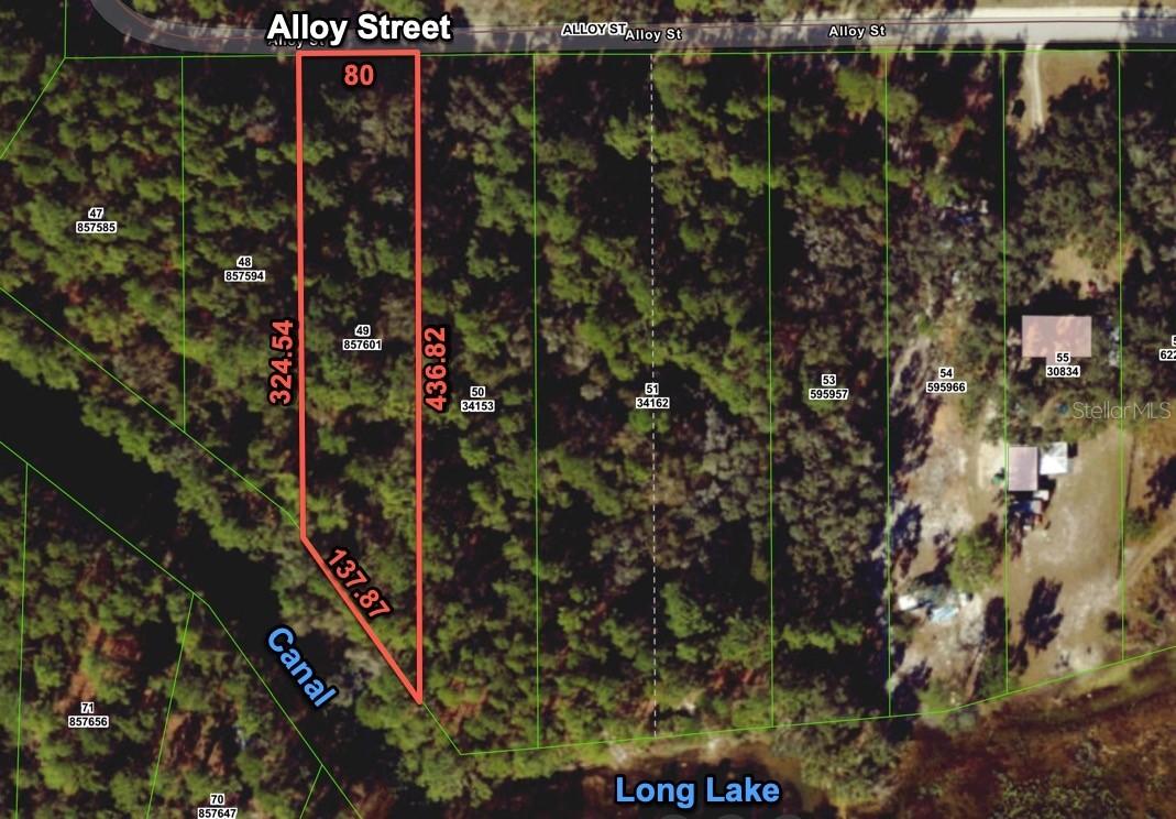7255 Alloy St., Webster, FL 33597