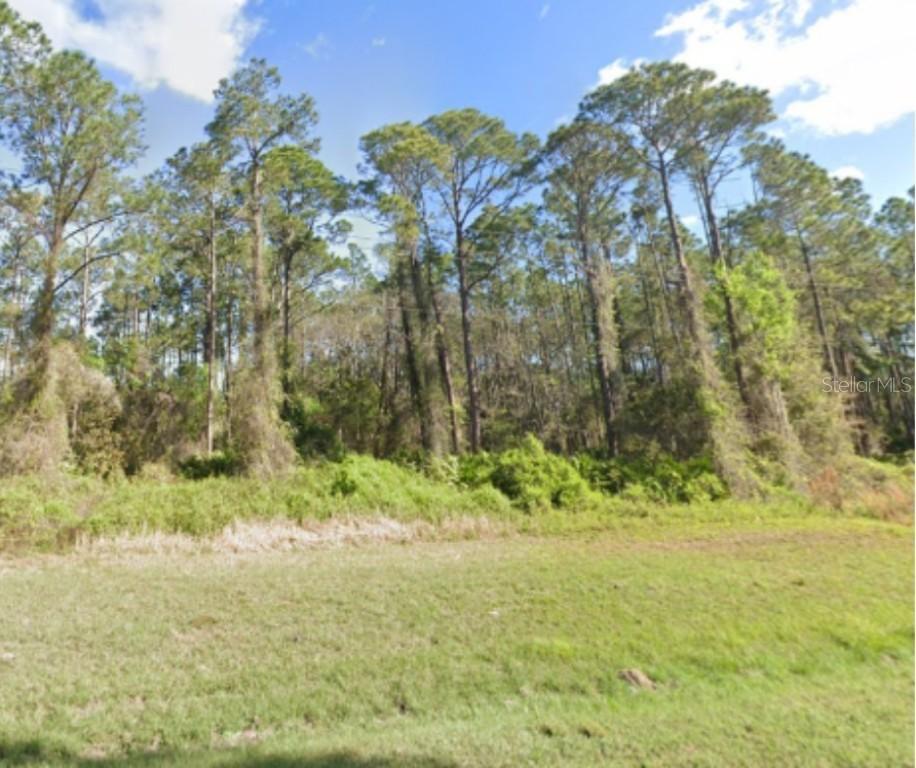 Georgetown Denver Rd, Georgetown, FL 32139