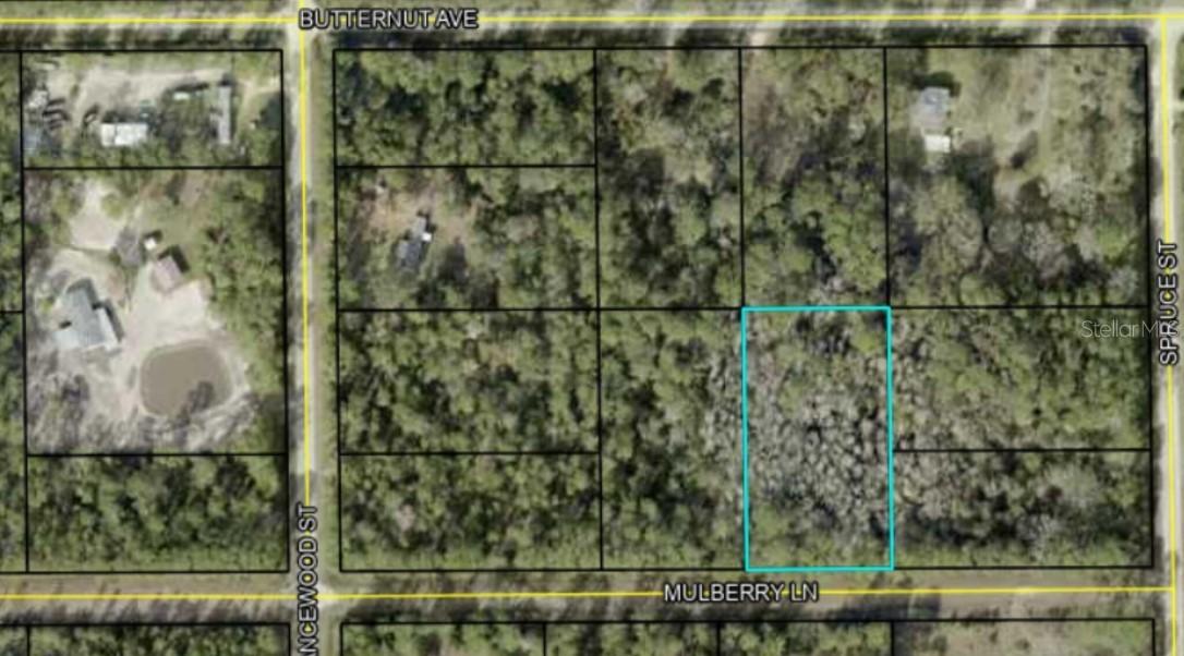 5414 Mulberry Ln., Bunnell, FL 32110