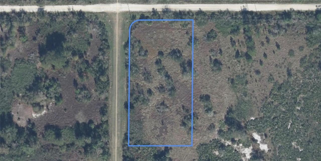 2239 W Tarkenton Rd., Avon Park, FL 33825