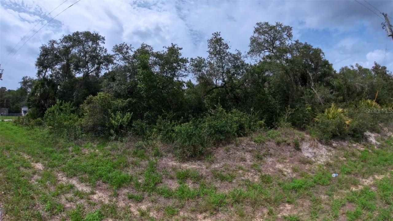 Hillside Dr., Deland, FL 32720