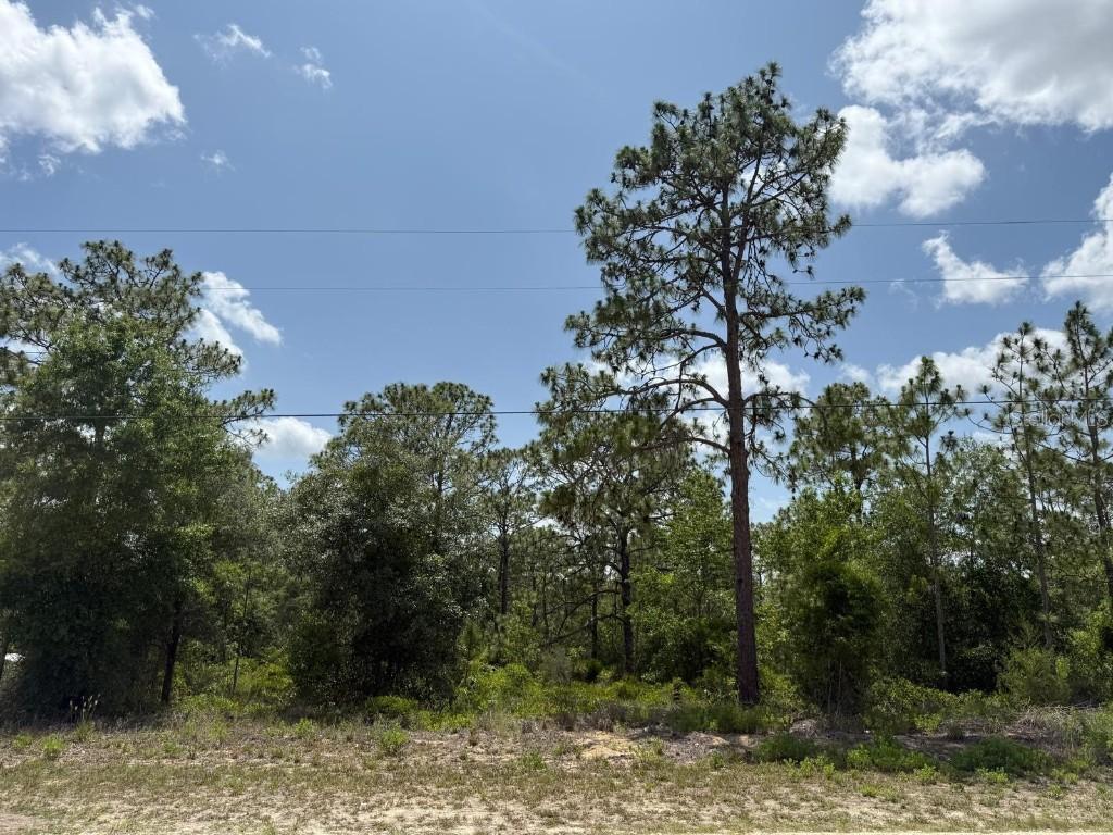 SW 167th Ave., Ocala, FL 34481
