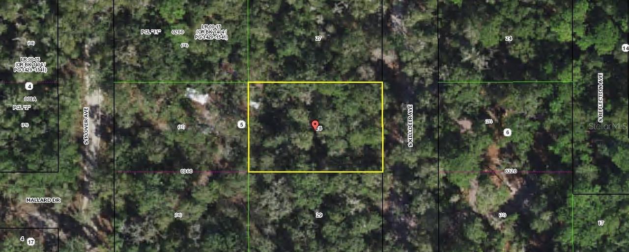 3966 S Killdeer Ave., Inverness, FL 34450