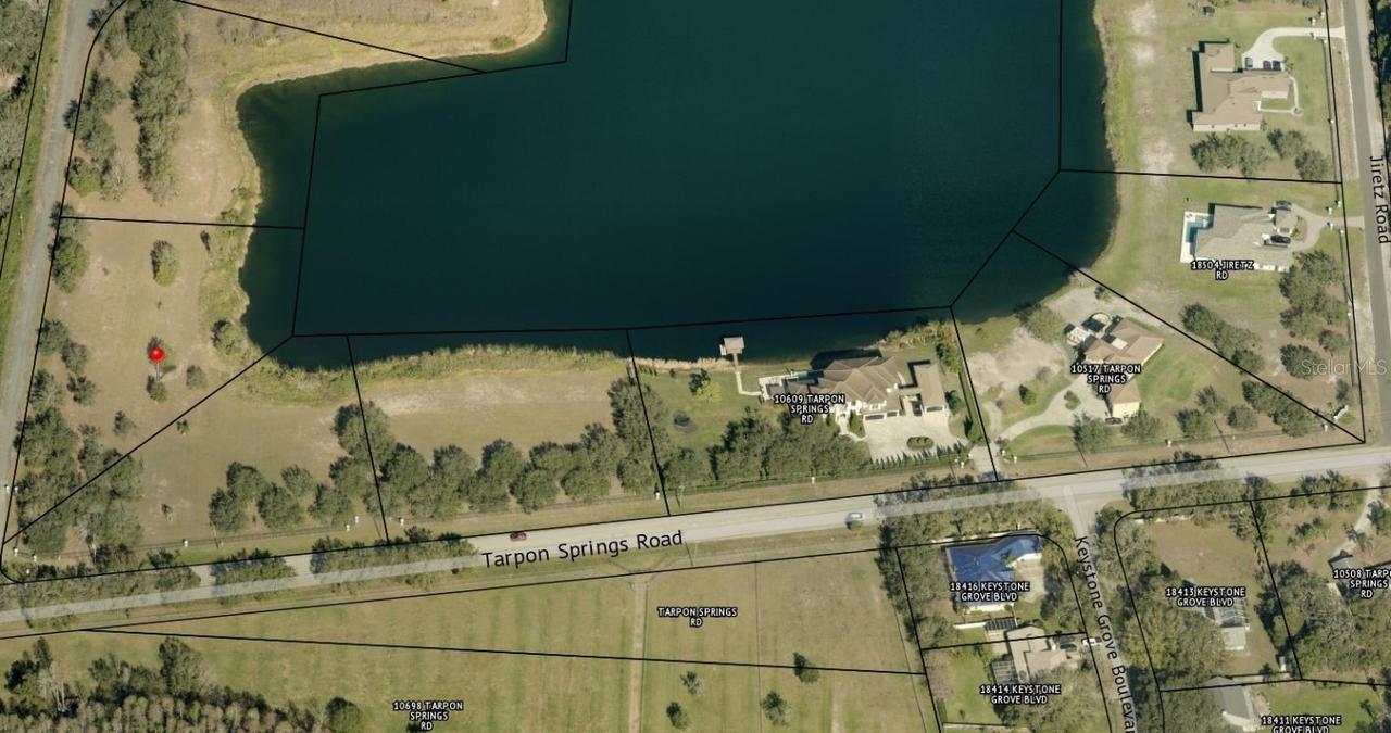 00 Trumpeter Ct., Odessa, FL 33556