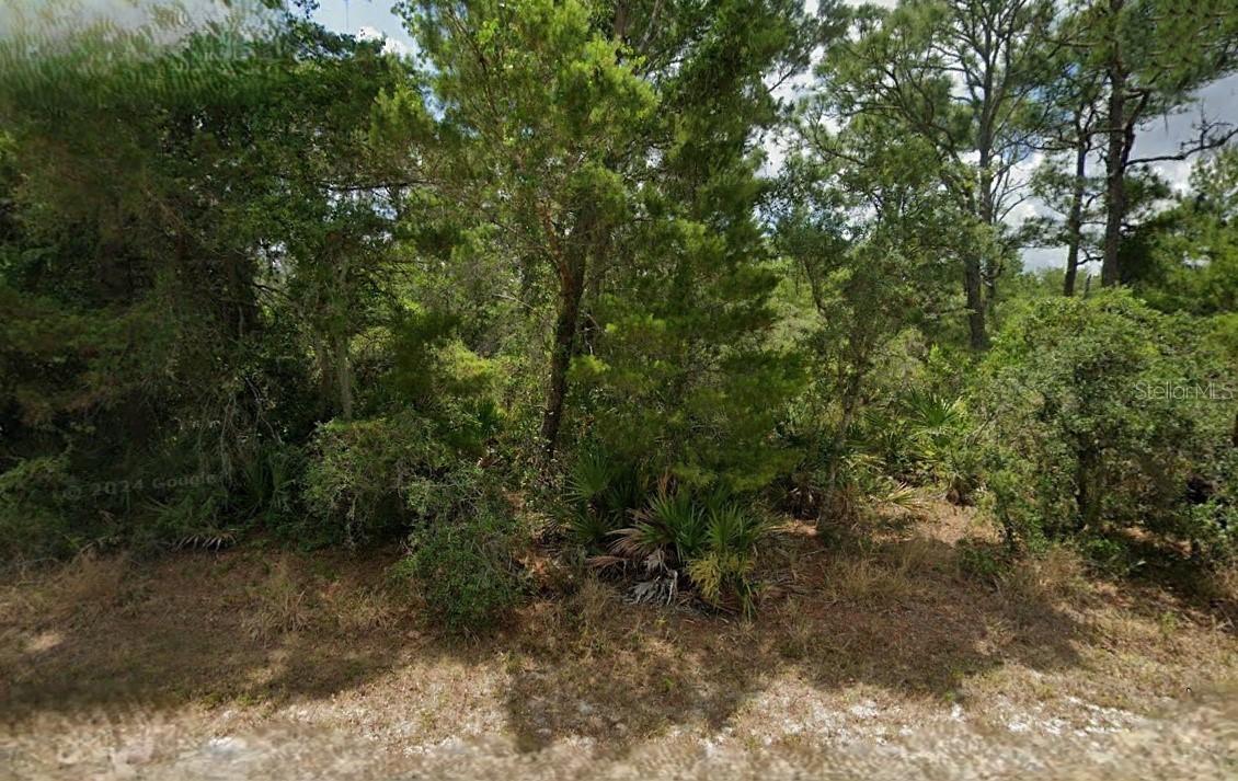 867 & 869 Letitia Dr., Sebring, FL 33875