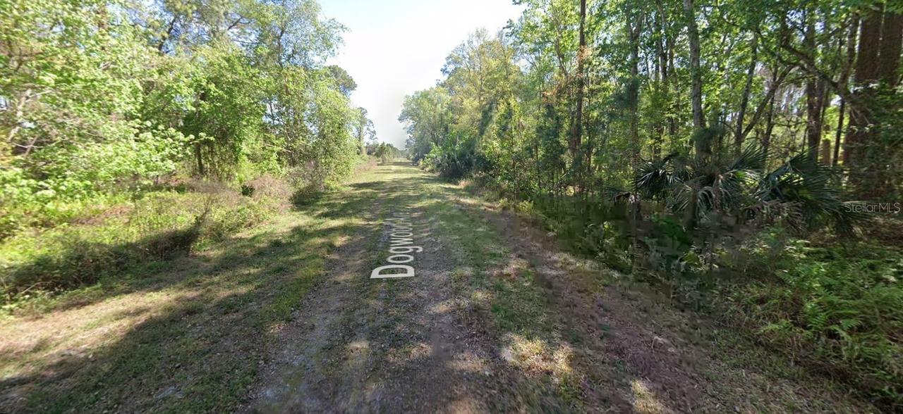 423 Dogwood Ave., Georgetown, FL 32139