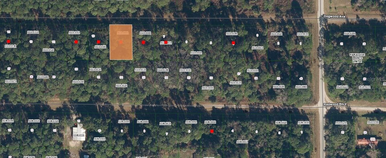 423 Dogwood Ave., Georgetown, FL 32139