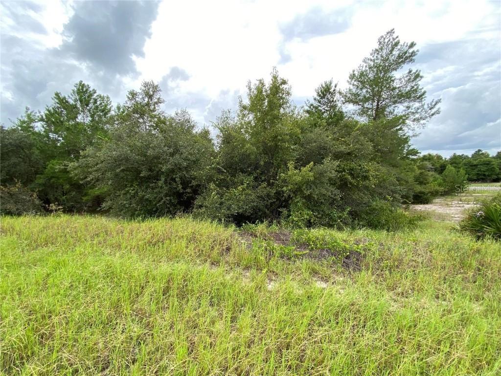 1362 Homosassa Dr., Kissimmee, FL 34759