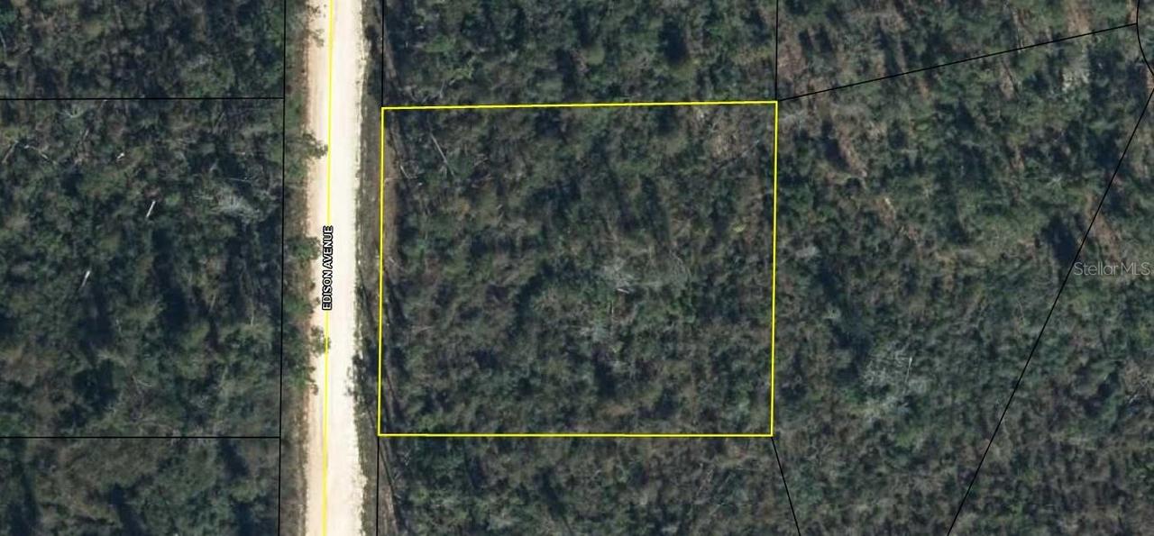 Edison Ave., Alford, FL 32420