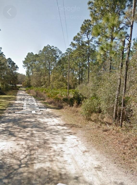 Appaloosa Dr., Interlachen, FL 32148
