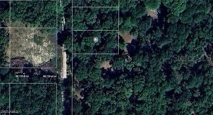 X, Belleview, FL 34420