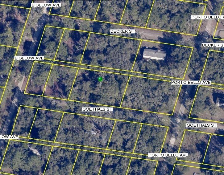 Goethals St., Webster, FL 33597