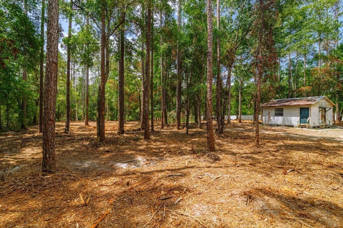 569 NE 356th Ave., Old Town, FL 32680