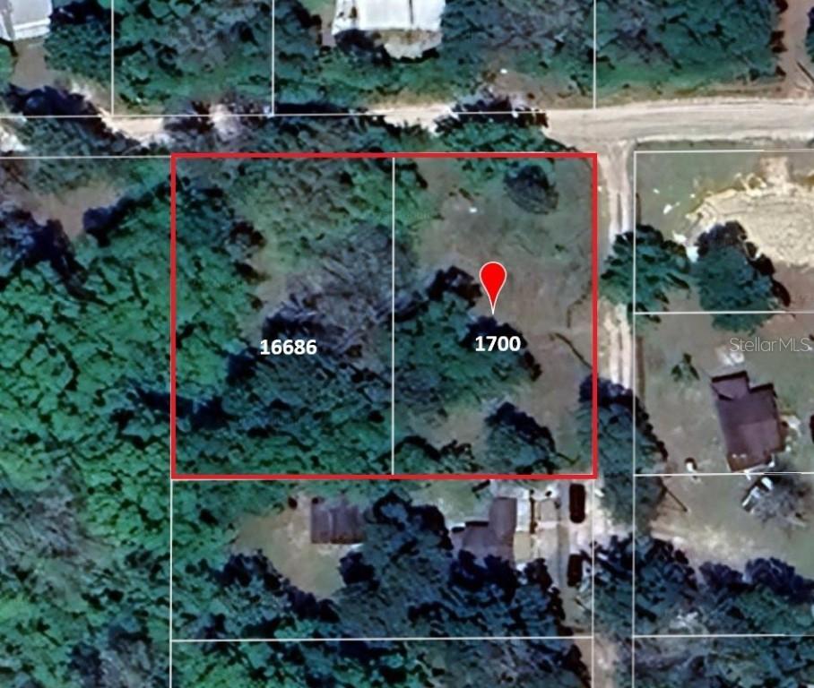 16686 NE 17th Pl., Silver Springs, FL 34488
