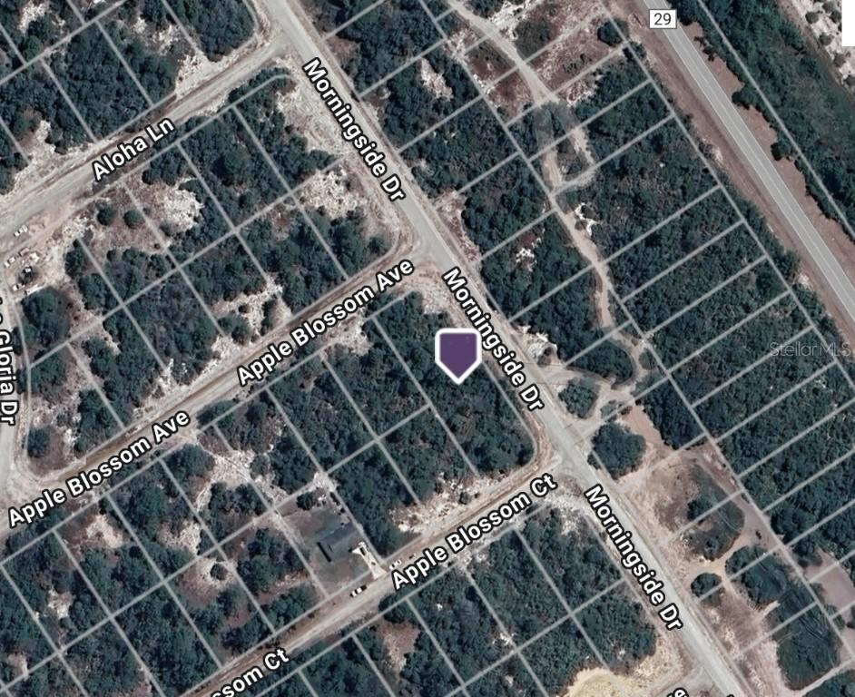 459 Apple Blossom Ave., Lake Placid, FL 33852