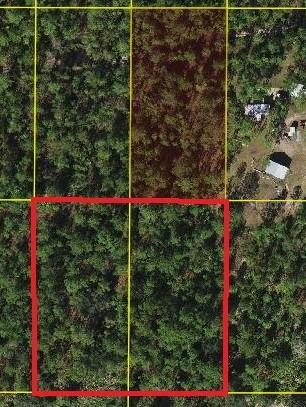 Holopaw Groves Rd., St Cloud, FL 34773