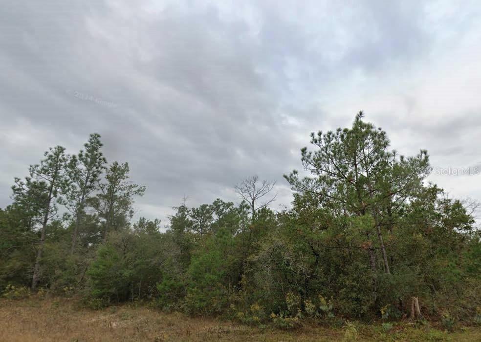 Drumlin St., Chipley, FL 32428