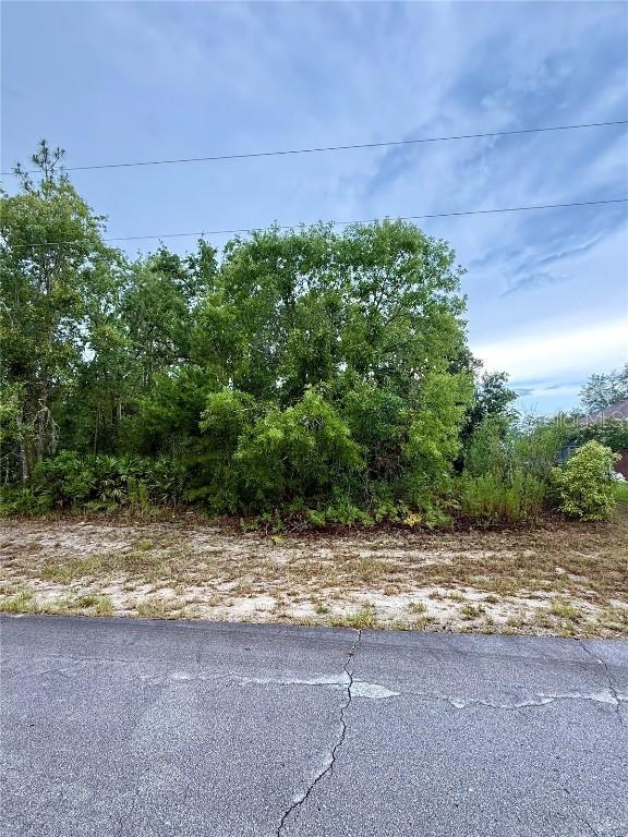 SW 144th Ln., Ocala, FL 34473