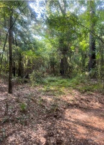 J&j Ln., Quincy, FL 32351