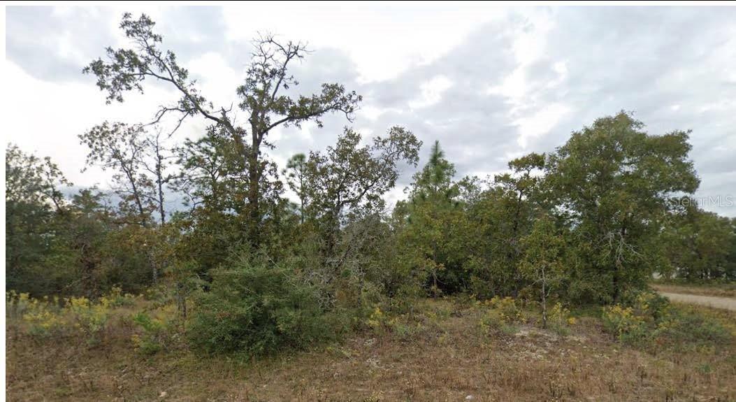 Esmont Ave., Chipley, FL 32428