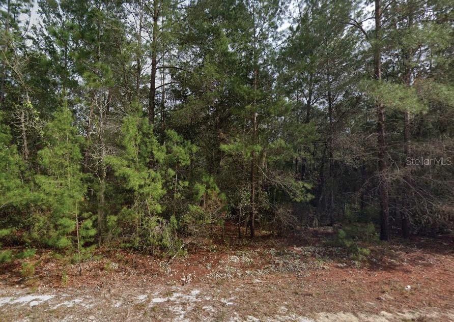 Theresa Ave., Interlachen, FL 32148