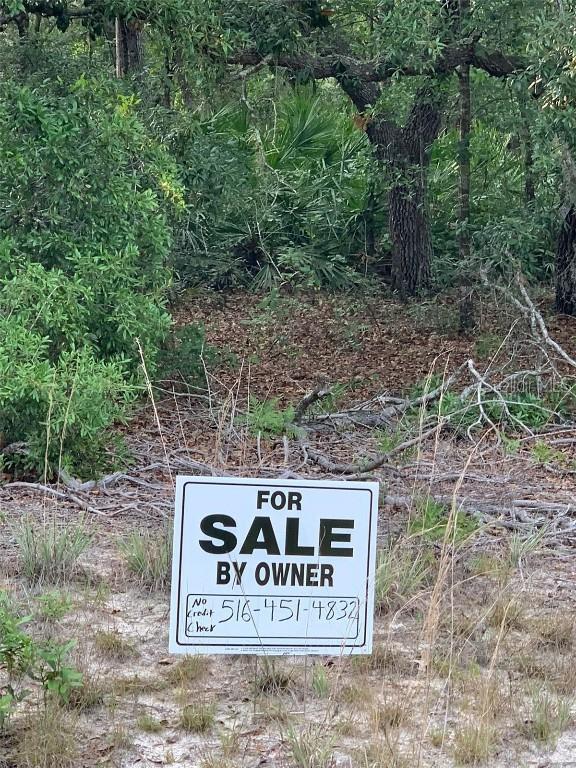 Terrell St., Interlachen, FL 32148
