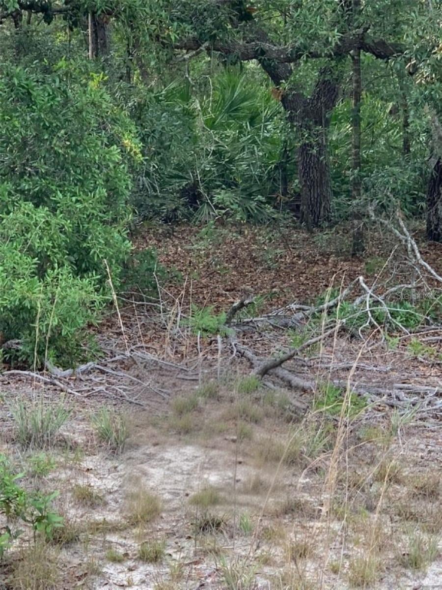 Terrell St., Interlachen, FL 32148