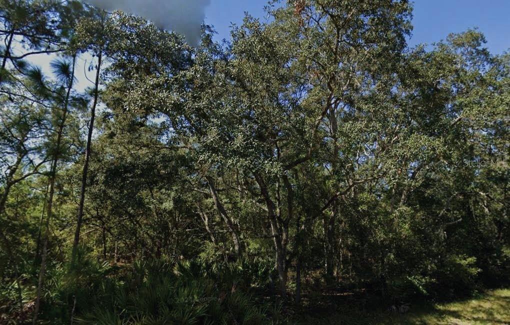 Theresa Ave., Interlachen, FL 32148